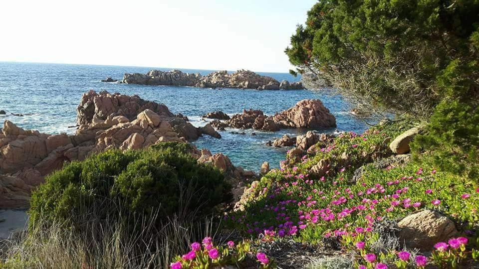 Casa Vacanze Villa Sandrina Costa Paradiso Eksteriør bilde