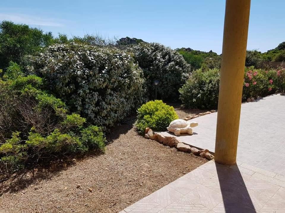 Casa Vacanze Villa Sandrina Costa Paradiso Eksteriør bilde