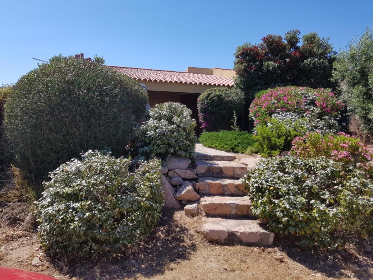 Casa Vacanze Villa Sandrina Costa Paradiso Eksteriør bilde