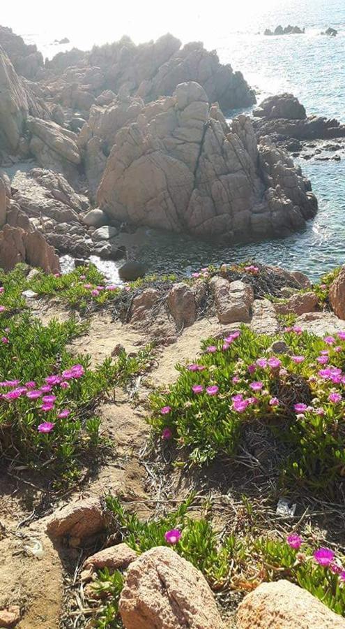 Casa Vacanze Villa Sandrina Costa Paradiso Eksteriør bilde
