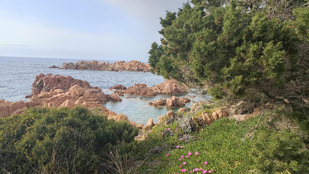 Casa Vacanze Villa Sandrina Costa Paradiso Eksteriør bilde